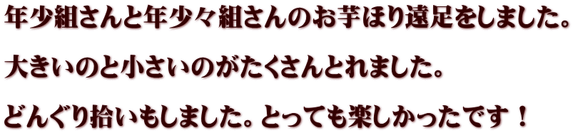 年少組さんと年少々組さんのお芋ほり遠足をしました。  大きいのと小さいのがたくさんとれました。  どんぐり拾いもしました。とっても楽しかったです！