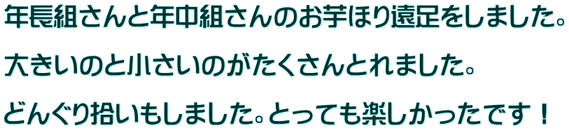 年長組さんと年中組さんのお芋ほり遠足をしました。  大きいのと小さいのがたくさんとれました。  どんぐり拾いもしました。とっても楽しかったです！